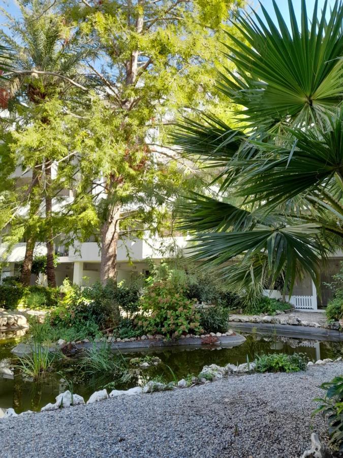 Apartment Royal Marine Playa Calme Et Cosy